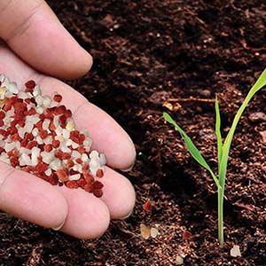 Fertilizer Fertilizer
