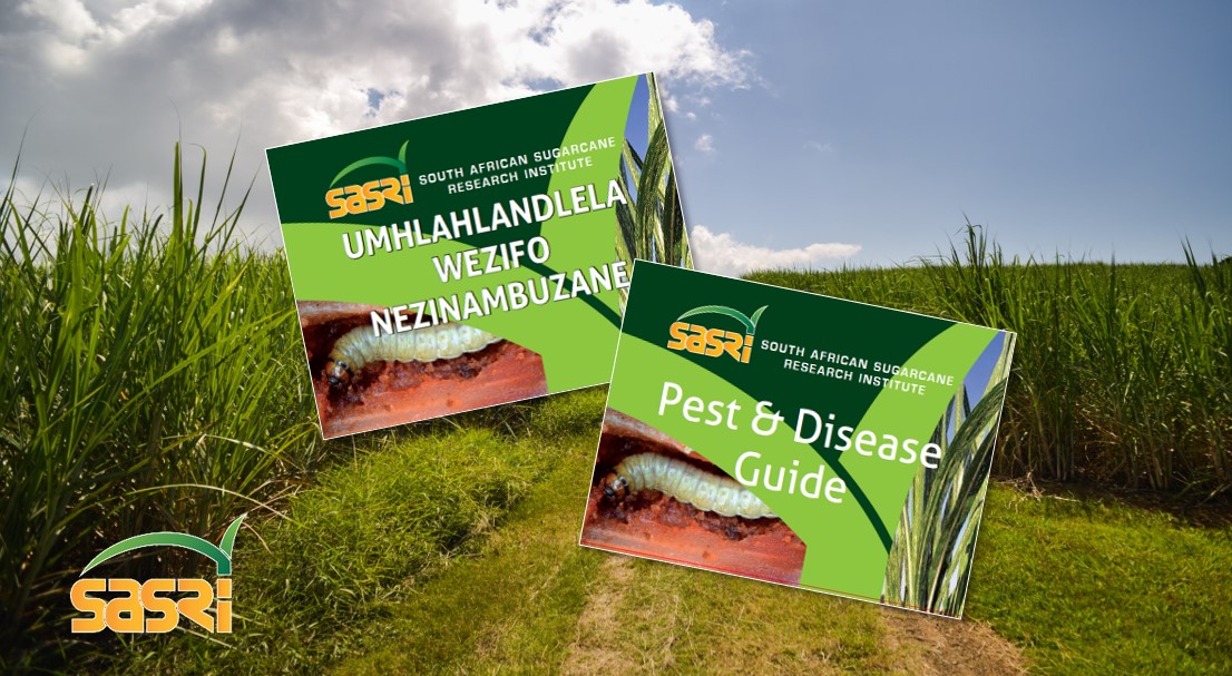 Pest & Disease Guide Updated