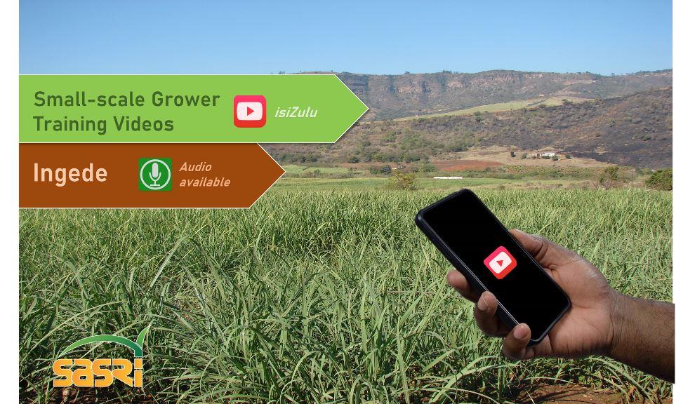 Digital support for small-scale Growers