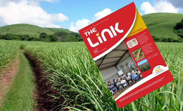 The Link January 2021 now available