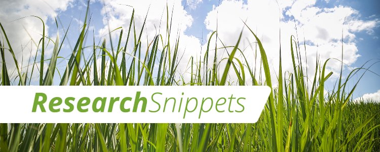 Research Snippets 7 August 2023