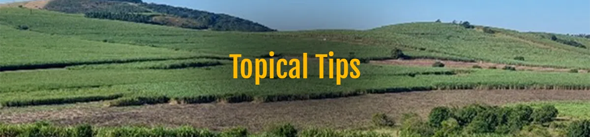 Topical Tips