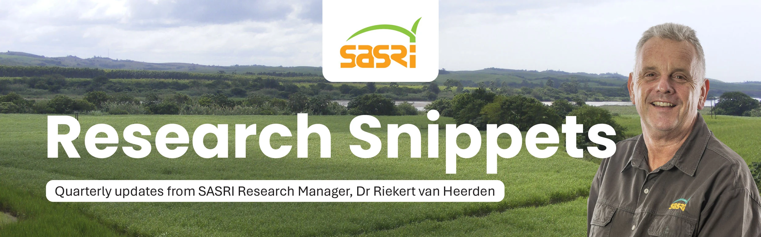 Research snippets Feature