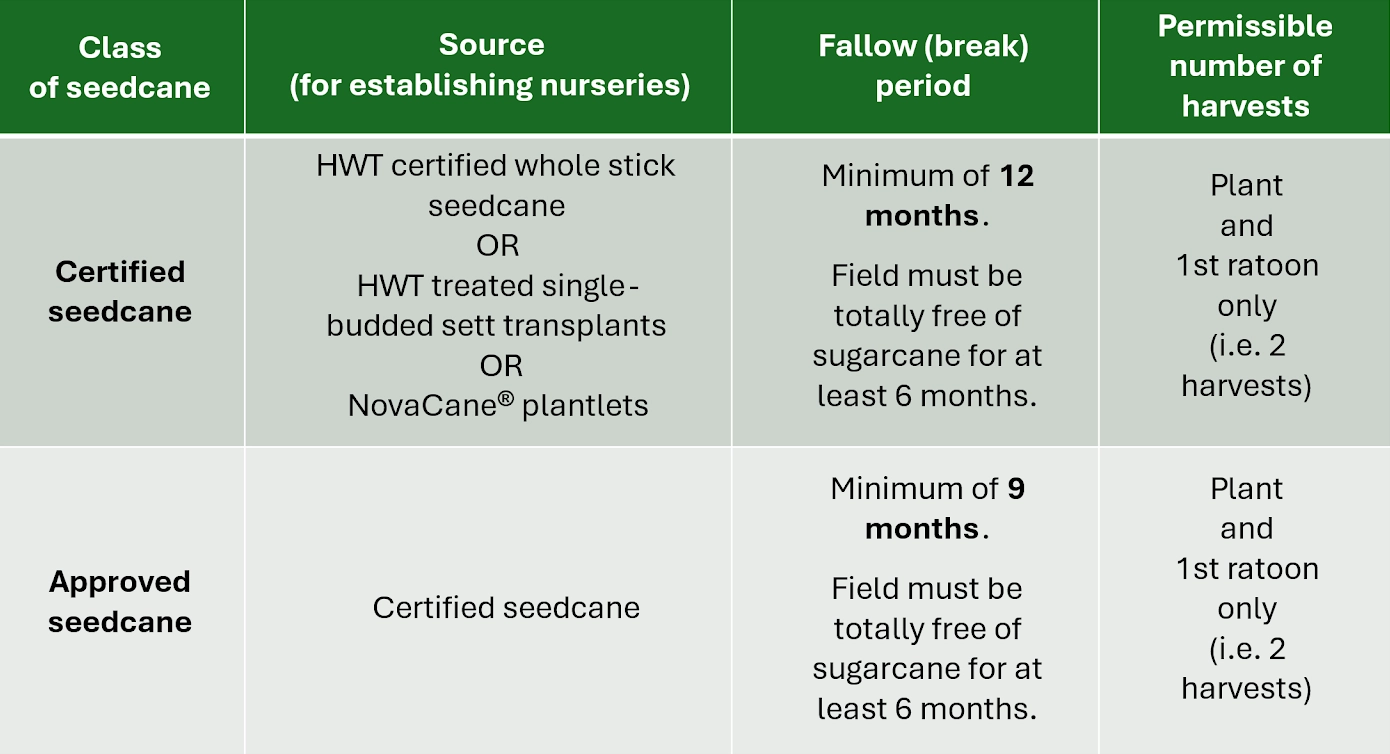 nursery-seedcane-figure-1