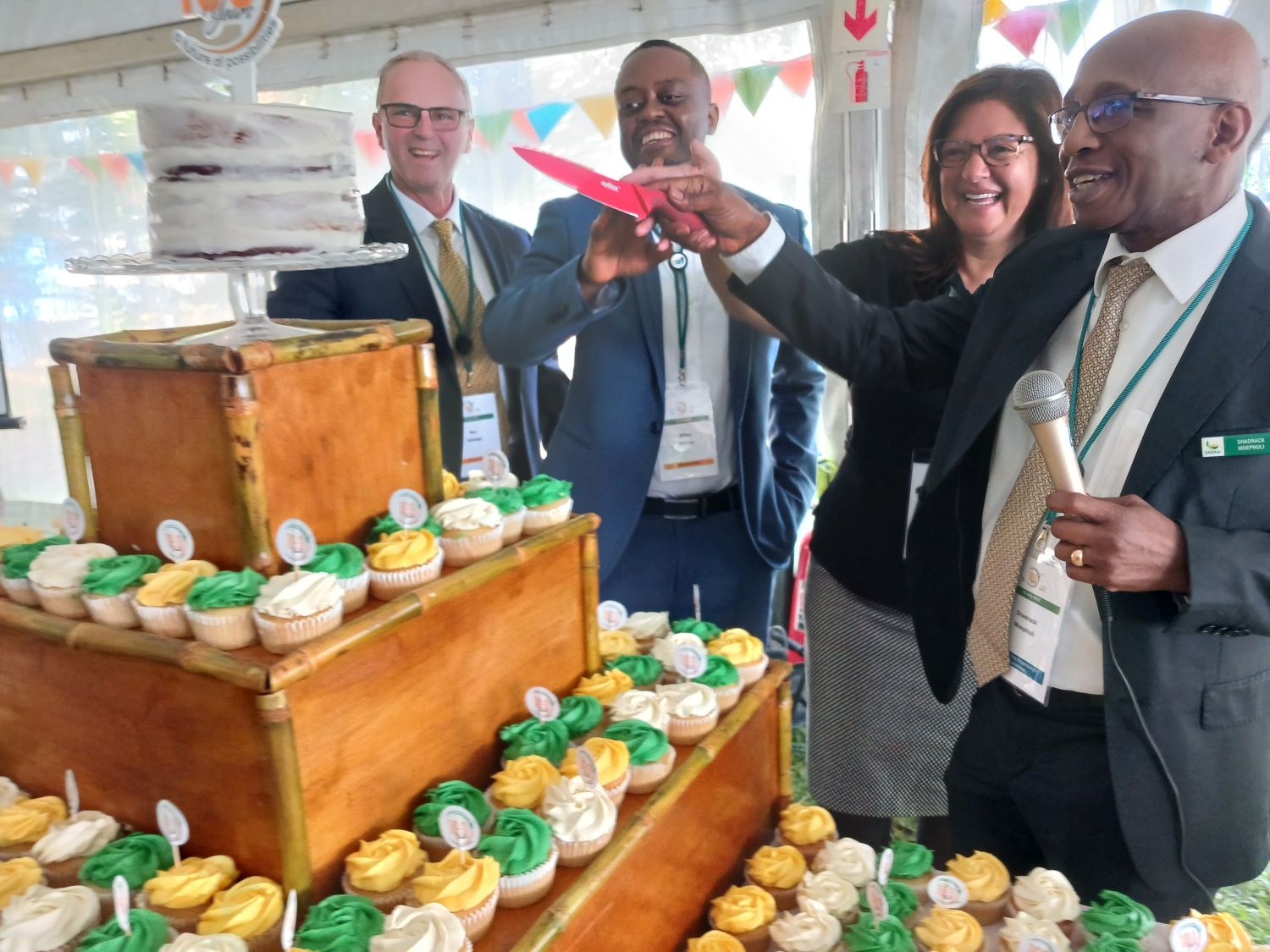 cake cutting