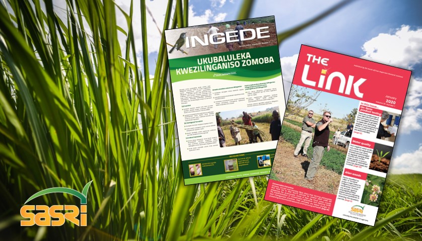 The Link & Ingede: January editions available